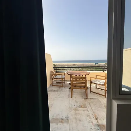 Palm Garden Ocean Wave *