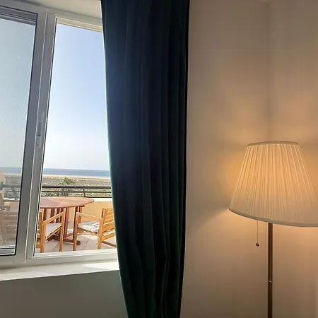 Palm Garden Ocean Wave